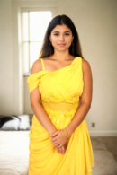 Elegant Yellow Gown with Georgette Pleated Front - Perfect for Daytime Weddings & Festive Celebrations